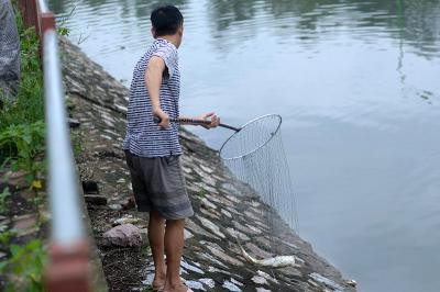 Nằm mơ thấy mình ăn trộm cá là điều may hay rủi?