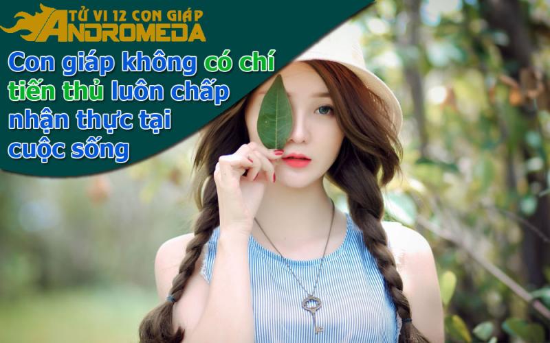 Những con giáp không cầu tiến và chấp nhận thực tại cuộc sống