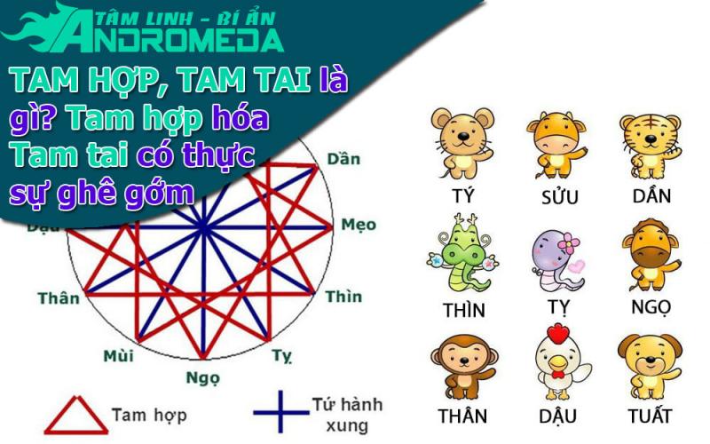 Tam hợp là gì? Tam tai là gì? Tam Hợp hóa Tam Tai thực sự có ghê gớm?