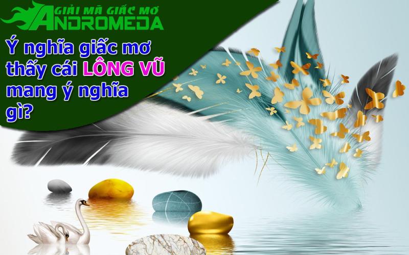 Ý nghĩa giấc mơ thấy chiếc LÔNG VŨ