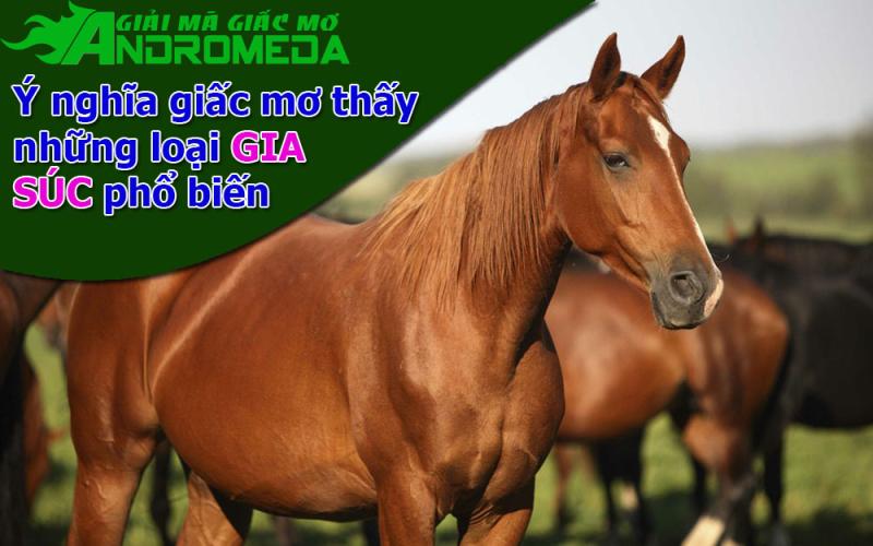 Ý nghĩa giấc mơ về GIA SÚC là gì?