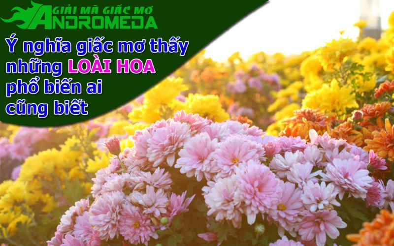 Ý nghĩa giấc mơ thấy vài LOÀI HOA phổ biến P1