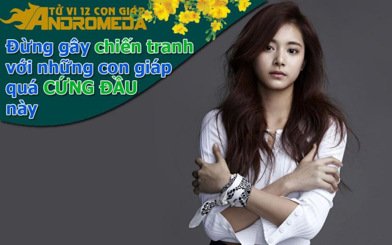 Đừng bao giờ gây chiến tranh với những con giáp này