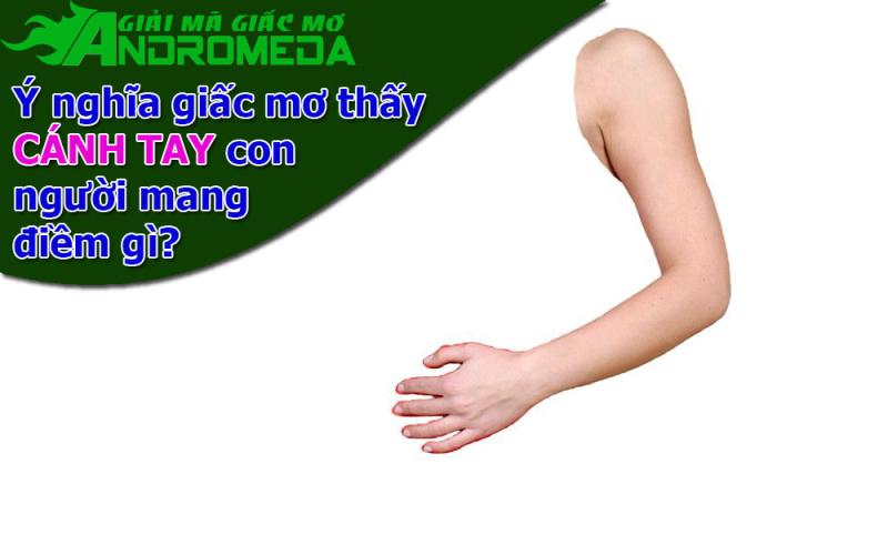 Ý nghĩa giấc mơ thấy CÁNH TAY con người