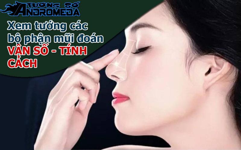 Bói tướng: Xem tướng các bộ phận của mũi biết số mệnh con người