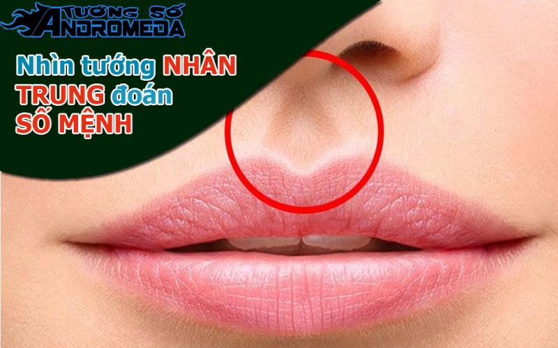 Bói tướng: Nhìn thấy số mệnh con người qua tướng Nhân Trung