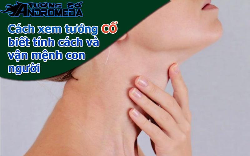 Xem tướng: Cách xem tướng CỔ biết số mệnh và tính cách con người