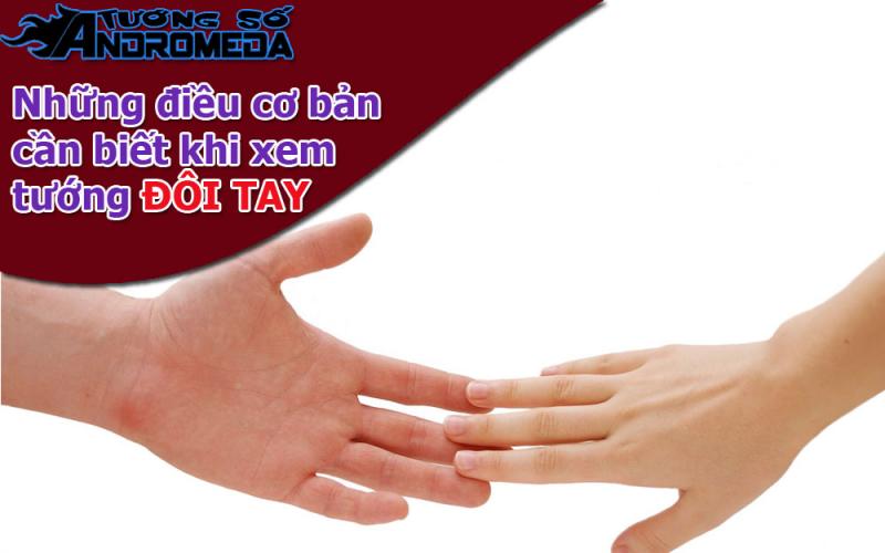 Bói tướng: Những điều cơ bản cần biết khi xem tướng tay.