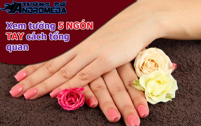 Bói tướng: Tổng quan cách xem tướng năm ngón tay