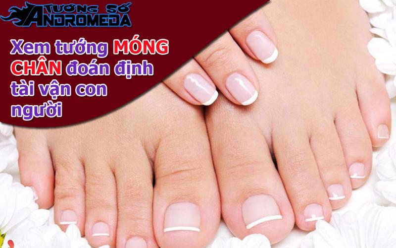 Bói tướng: Xem tướng móng chân biết tài vận con người