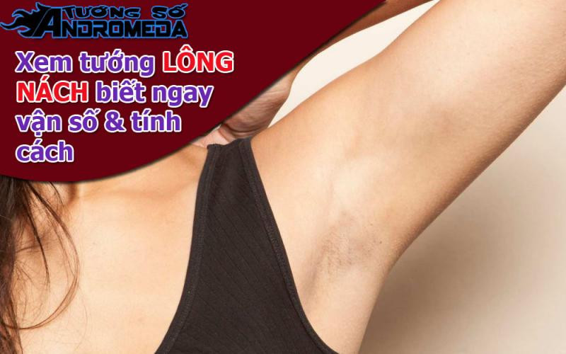 Xem tướng: Xem tướng LÔNG NÁCH con người biết tính cách