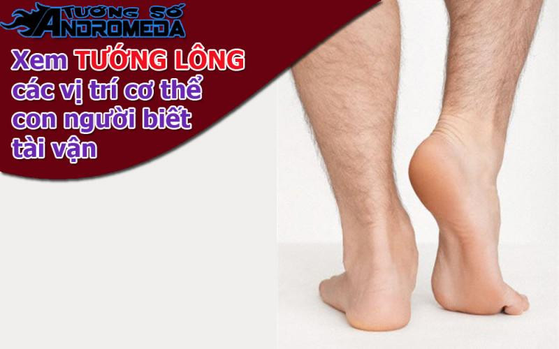 Xem tướng: Biết con người qua TƯỚNG LÔNG trên cơ thể