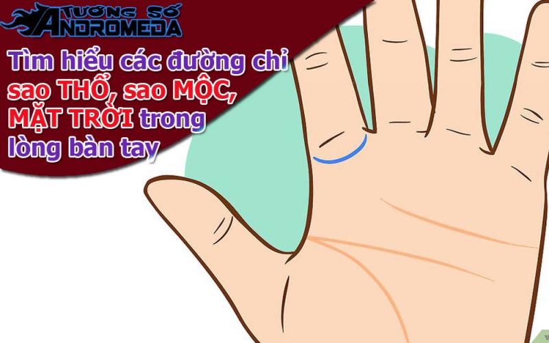 Bói chỉ tay: Tìm hiểu các đường chỉ tay PHỤ nhỏ khác trong lòng bàn tay