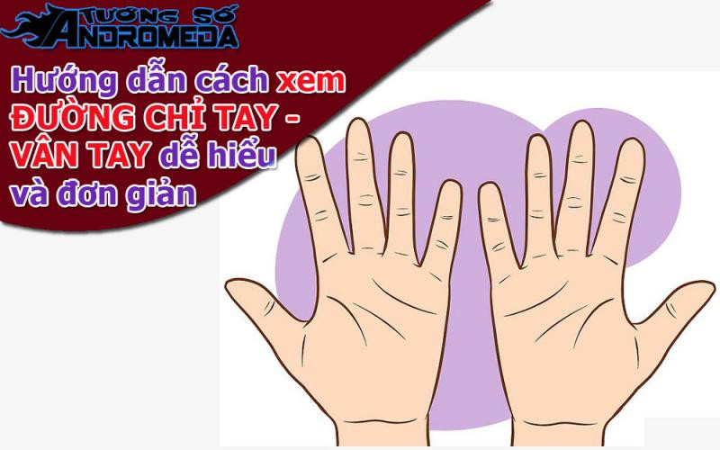 Bói chỉ tay: Hướng dẫn cách xem chỉ tay dễ hiểu nhất