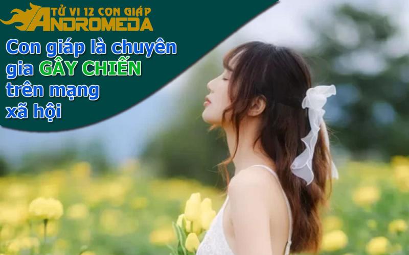Con giáp là chuyên gia gây chiến trên mạng xã hội