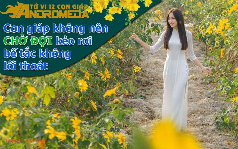 Con giáp đừng nên đợi chờ kẻo rơi vào bế tắc