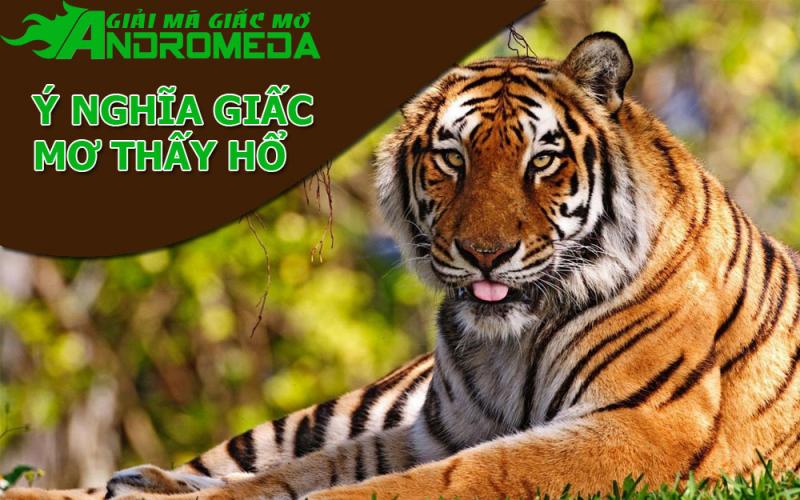 Điềm báo giấc mơ thấy con cọp (hổ) mang ý nghĩa như thế nào ?