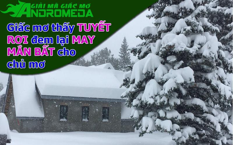 Giấc mơ thấy tuyết trắng đem đến những điều tốt đẹp bất ngờ