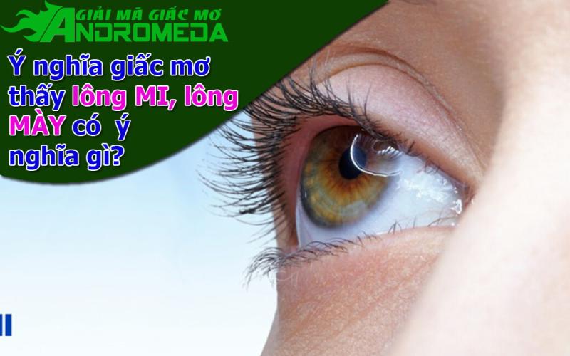 Ý nghĩa giấc mơ thấy LÔNG MI, LÔNG MÀY