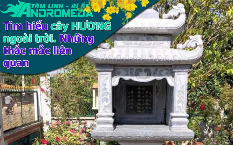 Tìm hiểu về cây hương ngoài trời