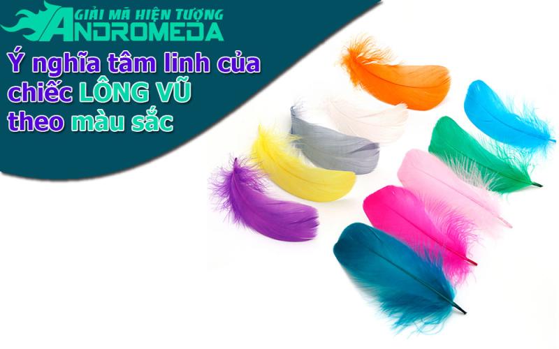 Giải mã hiện tượng: Ý nghĩa MÀU SẮC của chiếc LÔNG VŨ