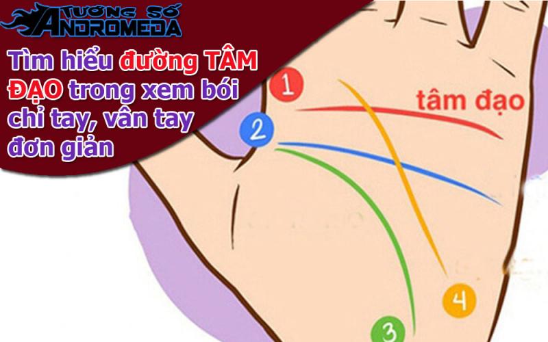 Bói chỉ tay: Giải mã đường TÂM ĐẠO trong lòng bàn tay