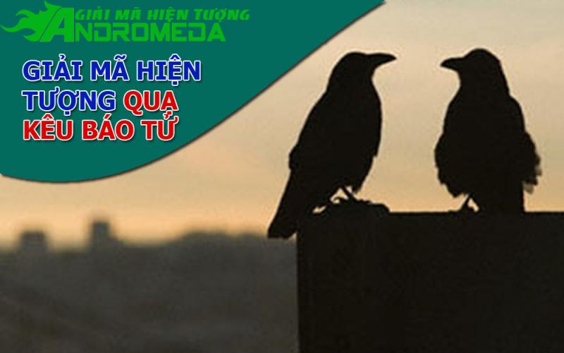 Giải mã hiện tượng quạ kêu theo tâm linh