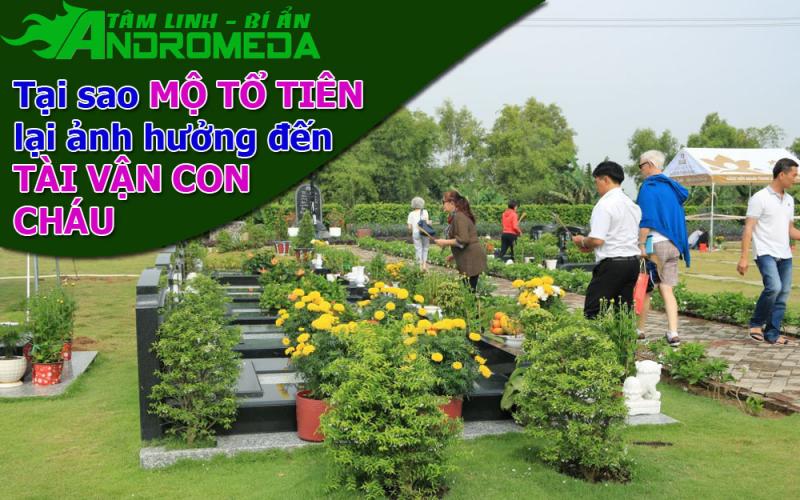 Tại sao mồ phần ông bà tổ tiên lại ảnh hưởng đến con cháu ?