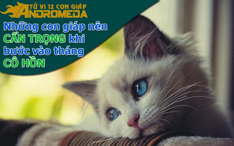 Những con giáp cẩn thận khi bước vào tháng cô hồn.