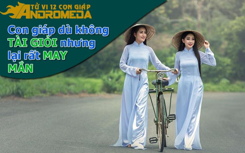 Con giáp không tài giỏi nhưng được cái rất may mắn