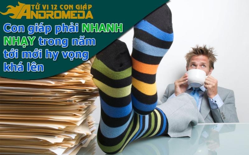 Muốn tốt trong năm mới, con giáp này phải nhanh nhạy hơn