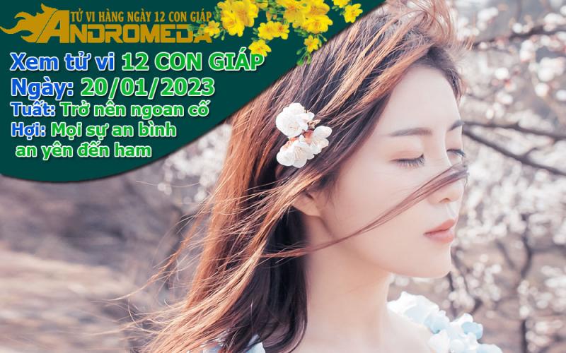 Tử vi 12 con giáp thứ 6 ngày 20/01/2023: Tuất ngoan cố, Hợi yên ả