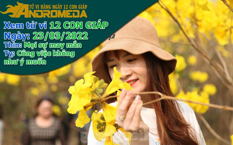 Tử vi 12 con giáp thứ 4 ngày 23/03/2022: Thìn may mắn, Tỵ không như ý