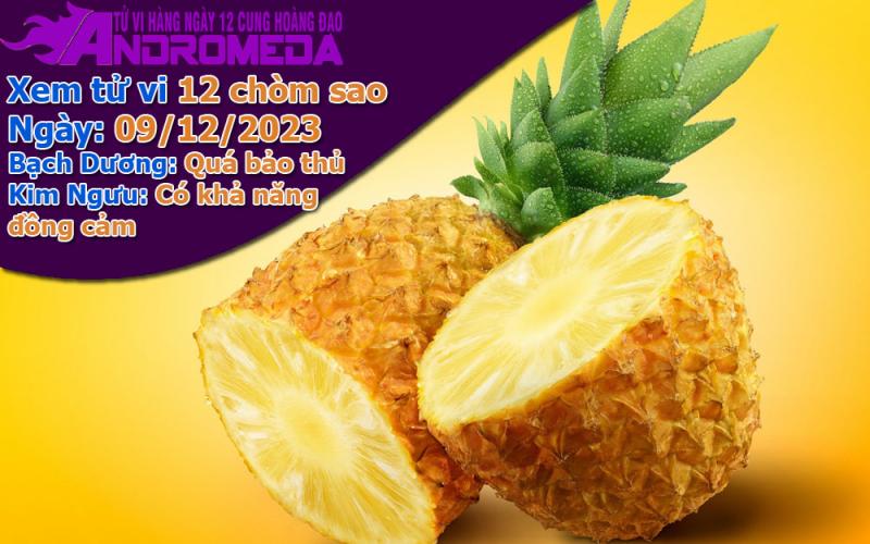 Tử vi 12 cung hoàng đạo thứ 7 ngày 09/12/2023: Bạch Dương bảo thủ, Kim Ngưu đồng cảm
