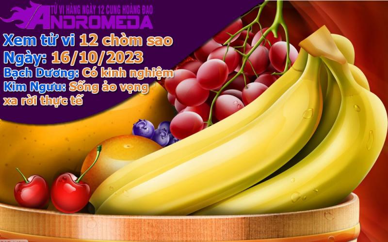 Tử vi 12 cung hoàng đạo thứ 2 ngày 16/10/2023: Bạch Dương kinh nghiệm, Kim Ngưu mơ hồ