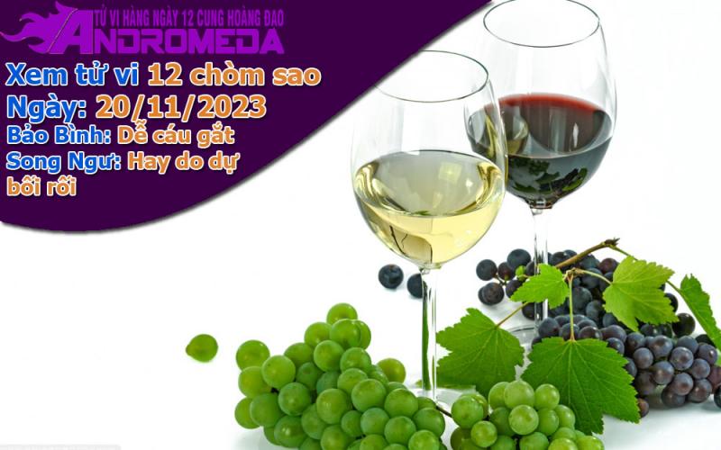 Tử vi 12 cung hoàng đạo thứ 2 ngày 20/11/2023: Bảo Bình hay cáu, Song Ngư bối rối
