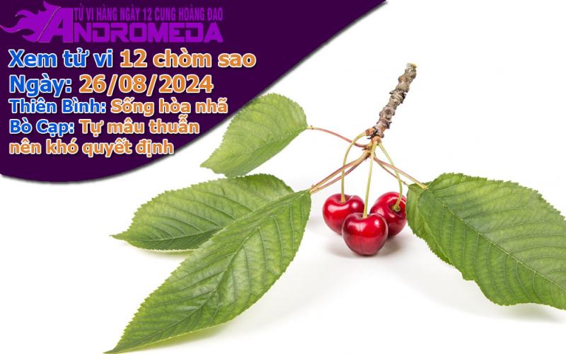 Tử vi 12 cung hoàng đạo thứ 2 ngày 26/08/2024: Thiên Bình hòa nhã, Bò Cạp khó quyết
