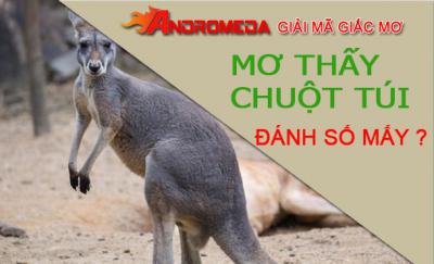 Giải mã giấc mơ thấy chuột túi, phụ nữ cần cảnh giác vì những cuộc chia ly sắp diễn ra