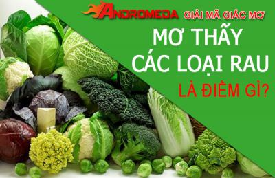 Sự thật thú vị khi mơ thấy các loại rau