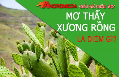 Giải mã giấc mơ thấy cây xương rồng