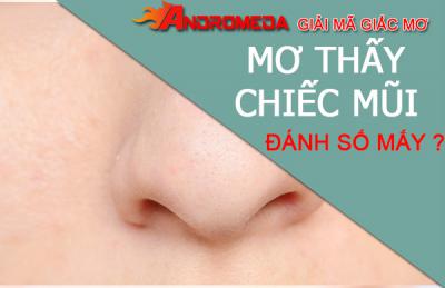 Tiết lộ ý nghĩa thú vị của giấc mơ chiếc mũi, mơ thấy mũi đánh số mấy?