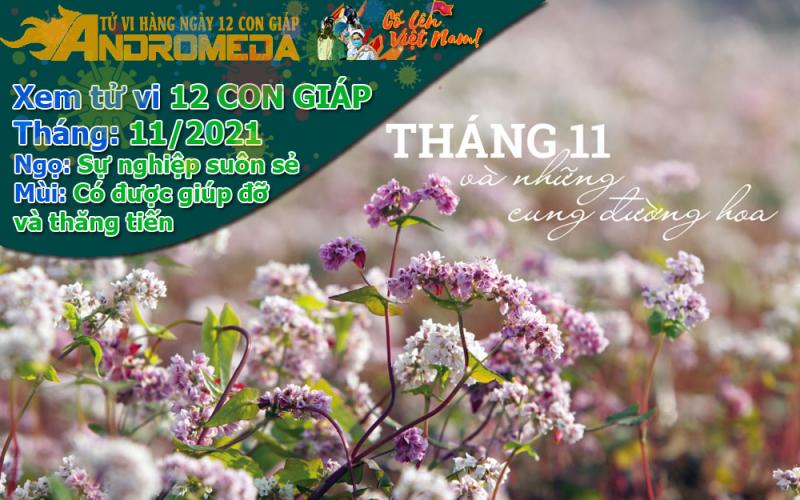 Xem tử vi tháng 11/2021 12 con giáp: Ngọ suôn sẻ, Mùi gặp quý nhơn