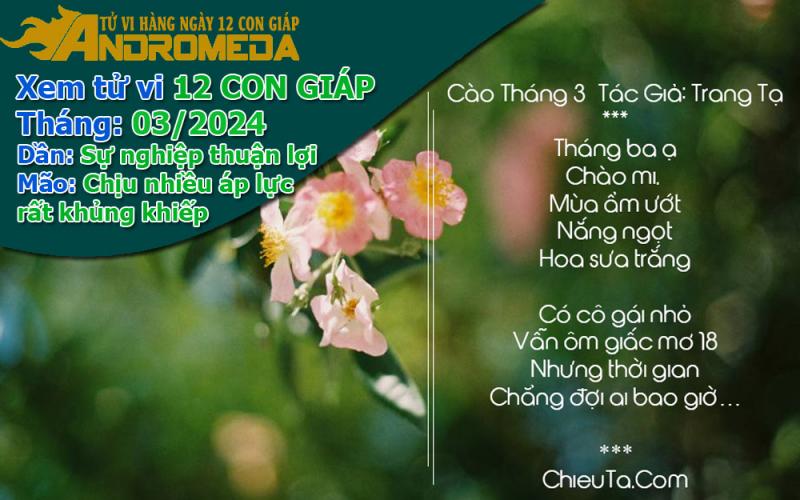 Xem tử vi tháng 03/2024 12 con giáp: Dần suôn sẻ, Mão chịu áp lực