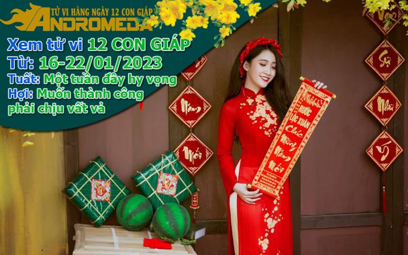 Xem tử vi tuần mới từ 16-22/01/2023 con giáp: Tuất hy vọng, Hợi vất vả