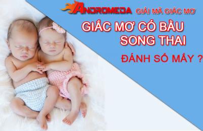 Giấc mơ có bầu sinh đôi có ý nghĩa gì? Sổ mơ lô đề đánh con gì?