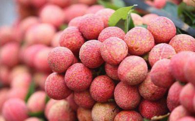 Chiêm bao thấy trái vải và những ý nghĩa tương lai